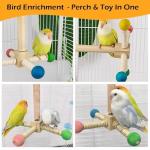 Interactive Wooden Bird Perch and Toy Set