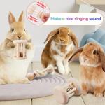 Wooden Bunny Teeth Grinding Toys for Small Pets