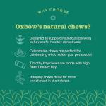 Oxbow Natural Dangly Party Pack for Pets