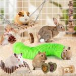 Hamster and Small Animal Chew Toy Set