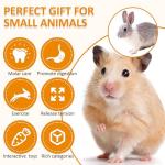 Hamster and Small Animal Chew Toy Set