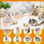 Hamster and Small Animal Chew Toy Set