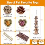 Hamster and Small Animal Chew Toy Set