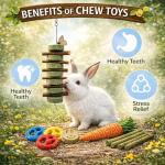 20PCS Natural Bunny Chew Toys for Small Pets
