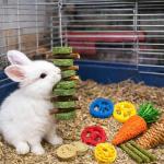 20PCS Natural Bunny Chew Toys for Small Pets