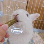 20PCS Natural Bunny Chew Toys for Small Pets
