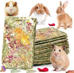 10 Pack Rabbit Chew Toys with Herbal Treats