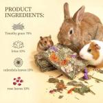10 Pack Rabbit Chew Toys with Herbal Treats