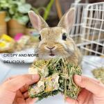 10 Pack Rabbit Chew Toys with Herbal Treats