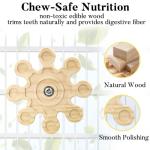 Jevnd Wooden Chew Toys for Chinchillas and Playtime