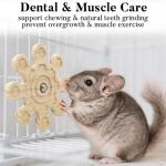 Jevnd Wooden Chew Toys for Chinchillas and Playtime