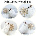 Jevnd Wooden Chew Toys for Chinchillas and Playtime