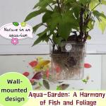 2 Pack Hanging Plant Holders for Fish Tanks