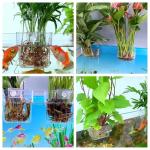 2 Pack Hanging Plant Holders for Fish Tanks