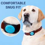 Personalized Airtag Dog Collar Holder Case