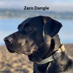 AirTag Dog Collar Mount - Waterproof, Non-Dangling