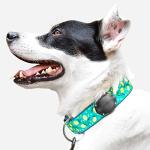 AirTag Dog Collar Mount - Waterproof, Non-Dangling