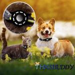 Air Tag Pet Collar Holder - 2 Pack