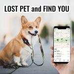 Air Tag Pet Collar Holder - 2 Pack