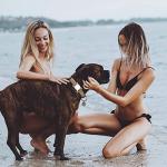 AirTag Dog Collar Holder - 2 Pack, Waterproof