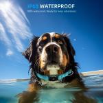 Waterproof AirTag Dog Collar, Reflective & Durable