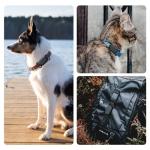2-Pack Waterproof Dog Collar Holder for SmartTag2