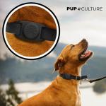 AirTag Dog Collar - Durable Tracker for Pets