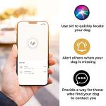 AirTag Dog Collar - Durable Tracker for Pets