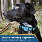 Personalized Dog Collar GPS Tracker Tile Holder