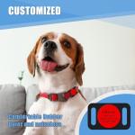 Custom Airtag Pet Collar Holder with Name Tag