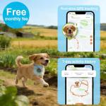 Smart GPS Dog Collar with Real-Time Location