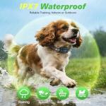 Rechargeable Smart Bark Collar with Safety Lock