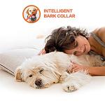 Smart Rechargeable Dog Bark Collar with 3 Modes
