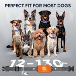 Smart Rechargeable No-Bark Collar for All Dogs