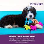 Multipet Original Loofa Dog Squeaky Plush Toy