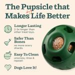 Interactive Dog Ball Toy & Treat Molds Set