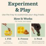 Interactive Dog Ball Toy & Treat Molds Set
