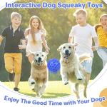 Indestructible Squeaky Dog Ball for Aggressive Chewers