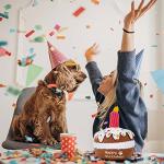 Lilfrd Plush Birthday Cake Toy for Dogs
