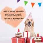 Lilfrd Plush Birthday Cake Toy for Dogs