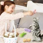 Colorful Bunny Catnip Toys for Indoor Cats