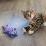 Purr Pillow Plush Toy for Happy Cats