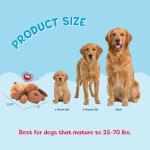 Snuggle Puppy Toy with Heartbeat and Heat Pack