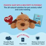Snuggle Puppy Toy with Heartbeat and Heat Pack
