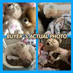 PetPrime Heartbeat Plush Toy for Dogs