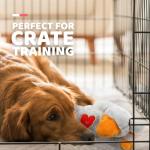 Heartbeat Plush Dog Toy for Soothing Comfort