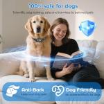 Rechargeable Smart Dog Bark Collar with 5 Sensitivities