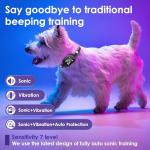 Rechargeable No Shock Dog Bark Collar for Small Dogs