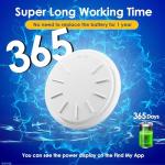 Cat GPS Tracker with Breakaway Collar and App Compatibility