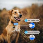 Real-Time GPS Dog Tracker with Geo-Fence Alarm